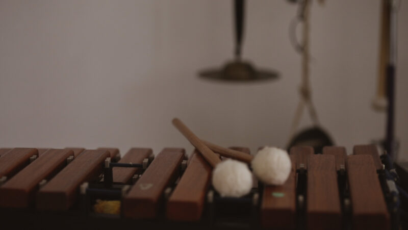 Ingesnijders healingstories screenshots 29