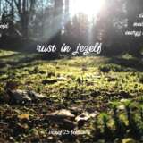 Afbeelding website Saam